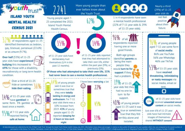 Youth Trust Infographic about survey results