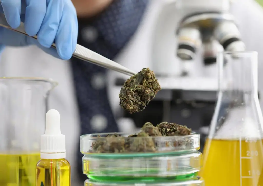 Extracting cannabinoids from buds