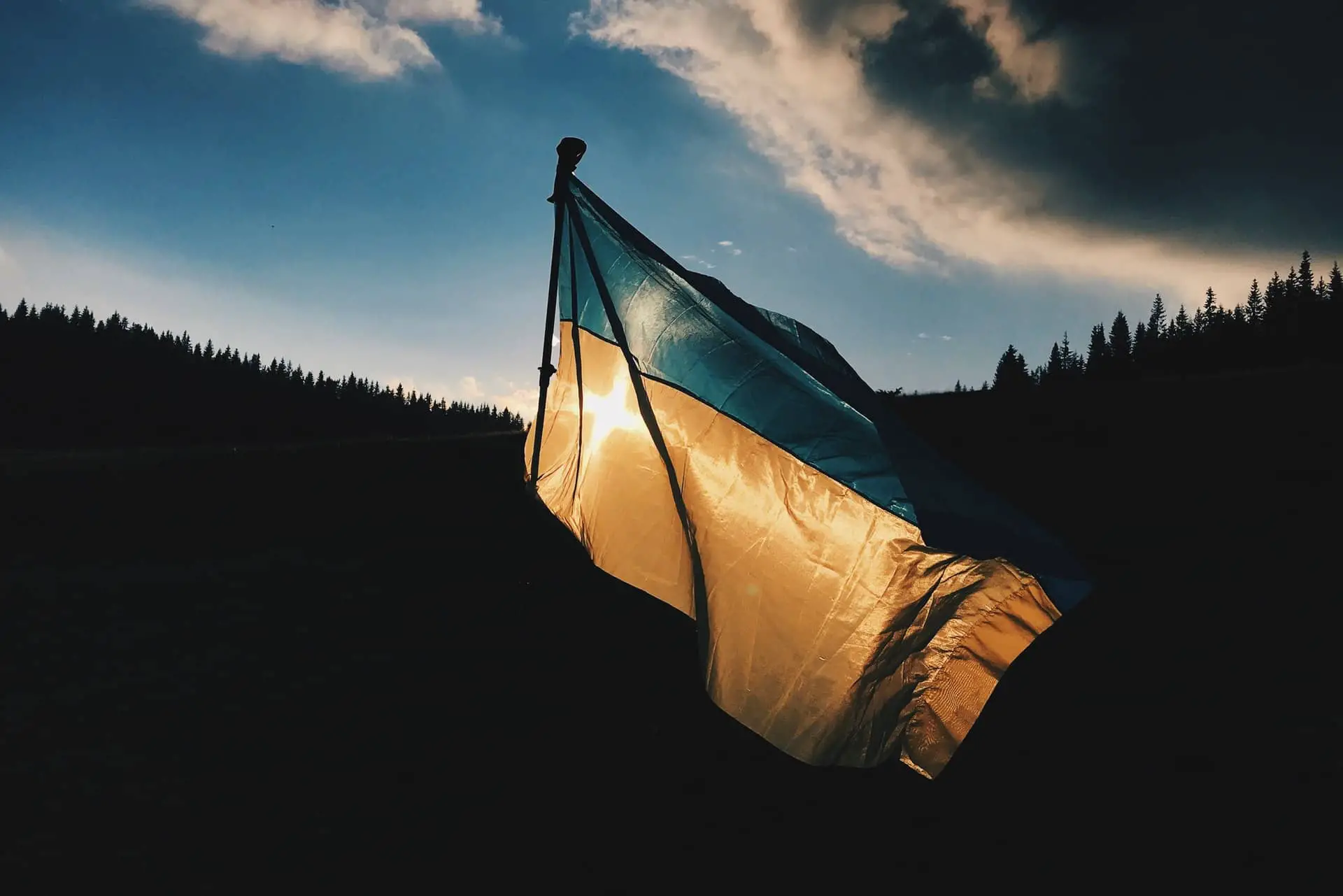 Ukrainian flag in front of silhouette of forest