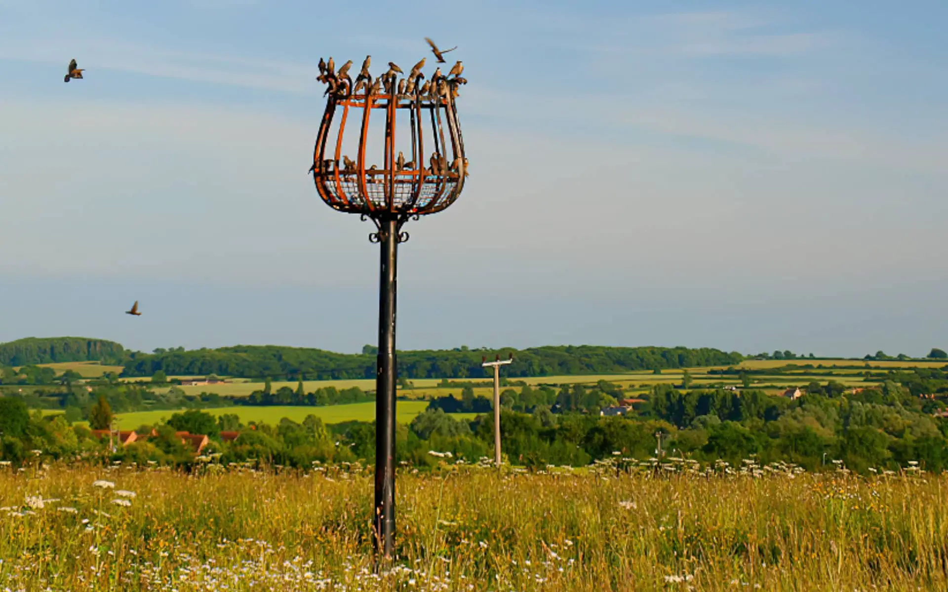 Beacon in the countryside with birds on it