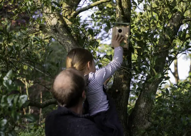 Putting up a bird box could be one wild act for 30 Days Wild © Evie and Tom Photography