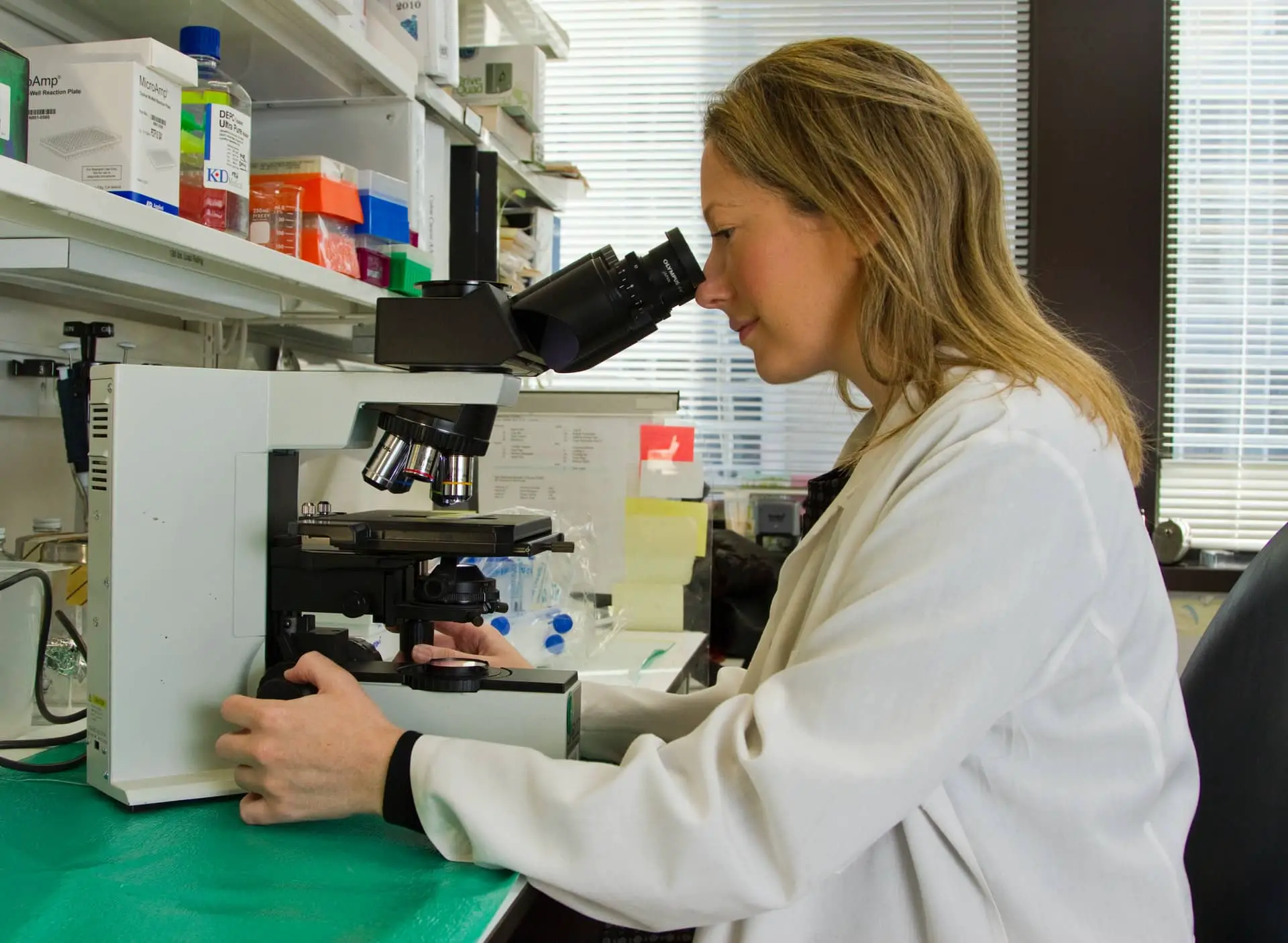 A female scientist looks through a microscope