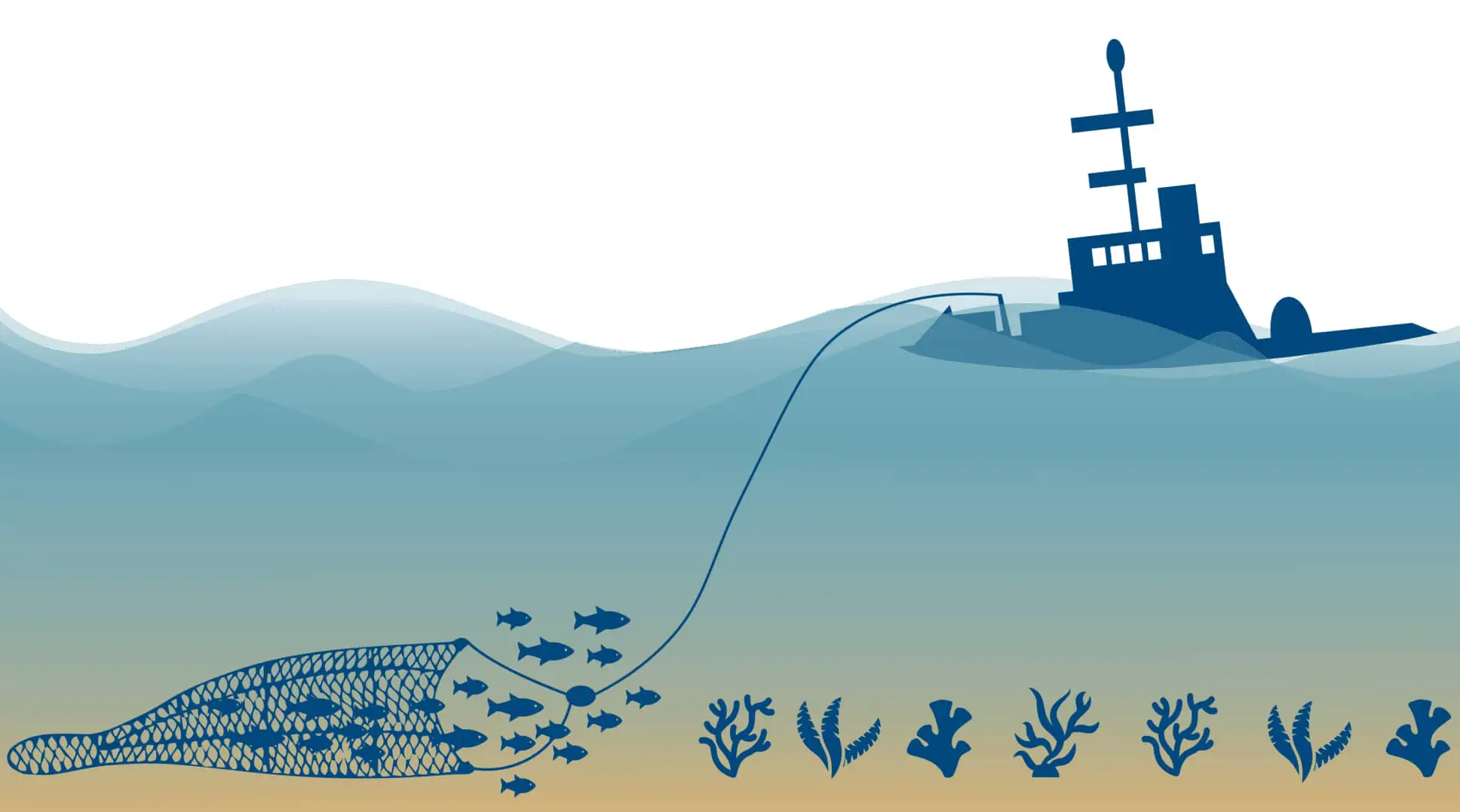 Bottom Trawling illustration