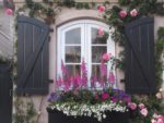 english garden scene with flowers around a window