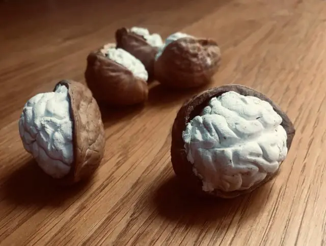 Walnuts by Charlotte Fisher