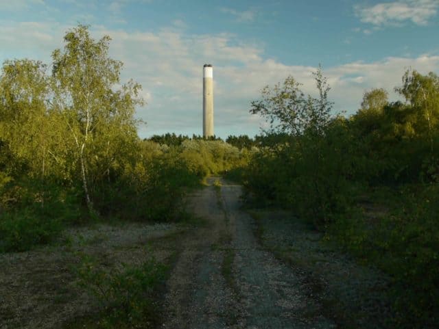 Fawley from the New Forest