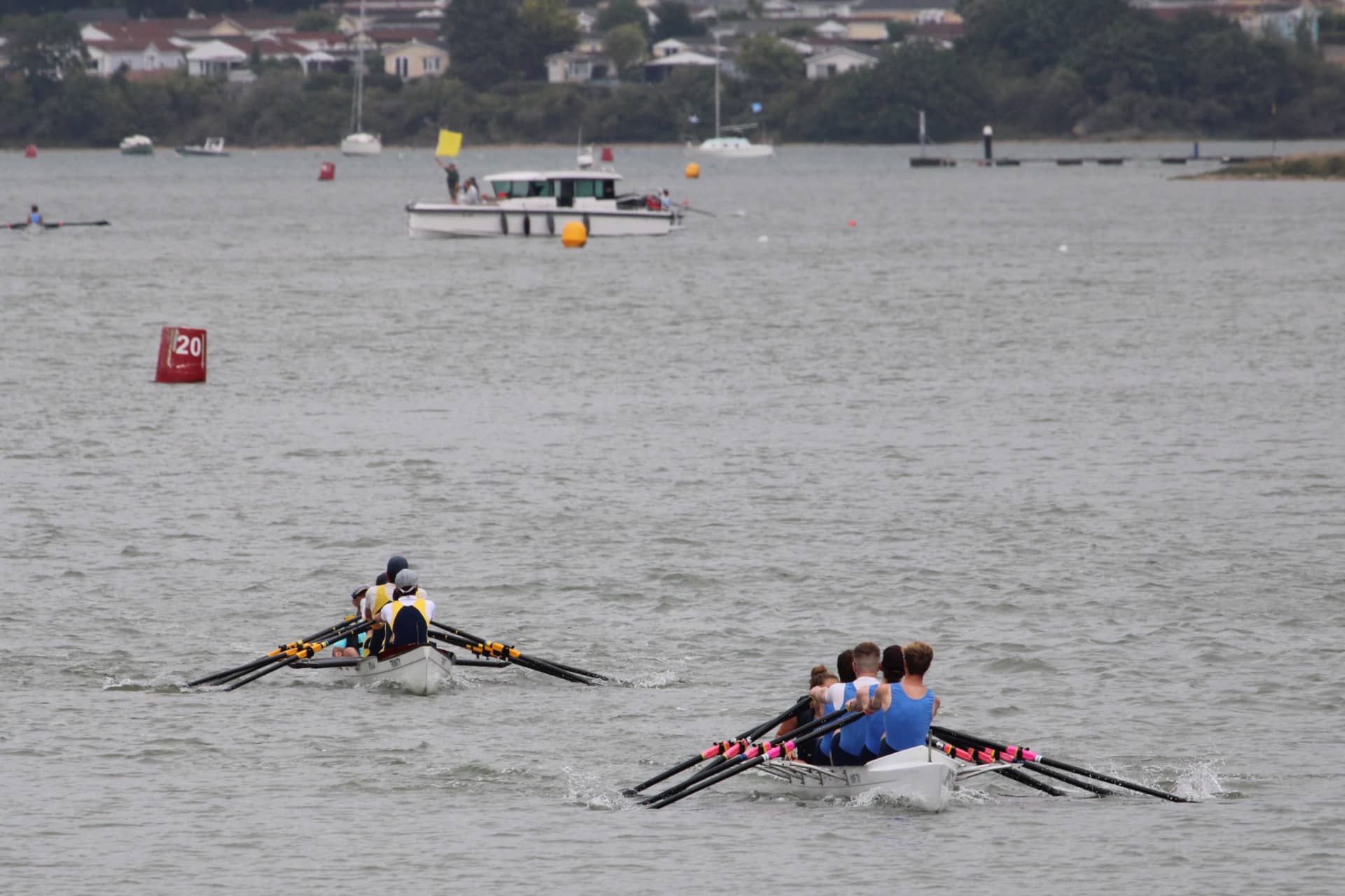 Regional rowing championships played out at Newport Rowing Regatta