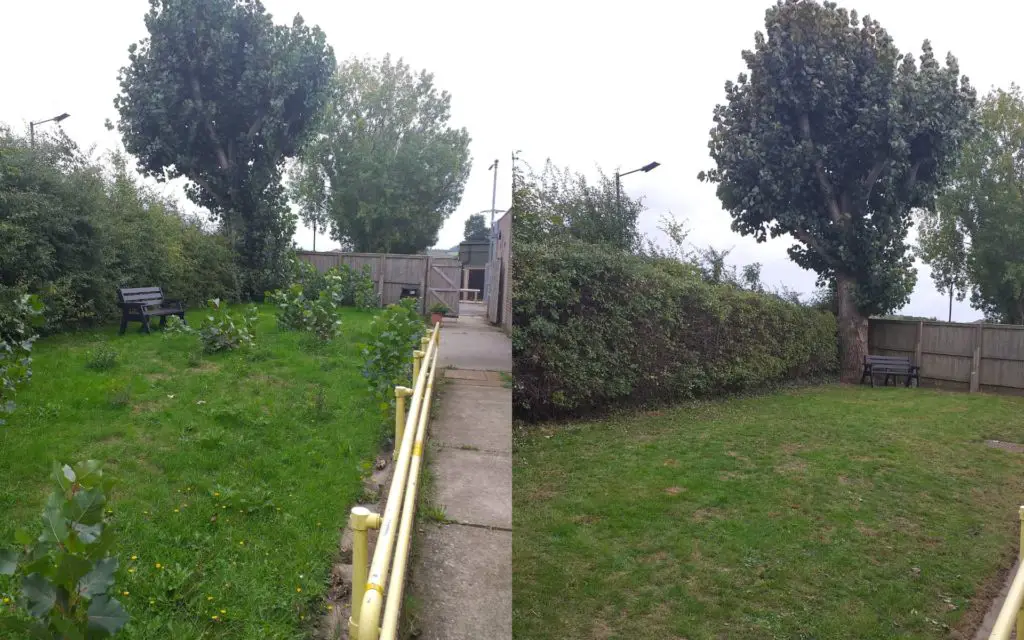 Before and After volunteers helped with tidying up garden space