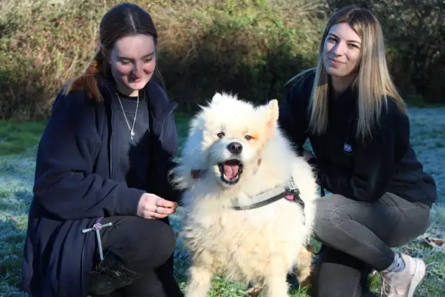 Animal care assistants Gaby Adamson and Georgina Davies with Oakley
