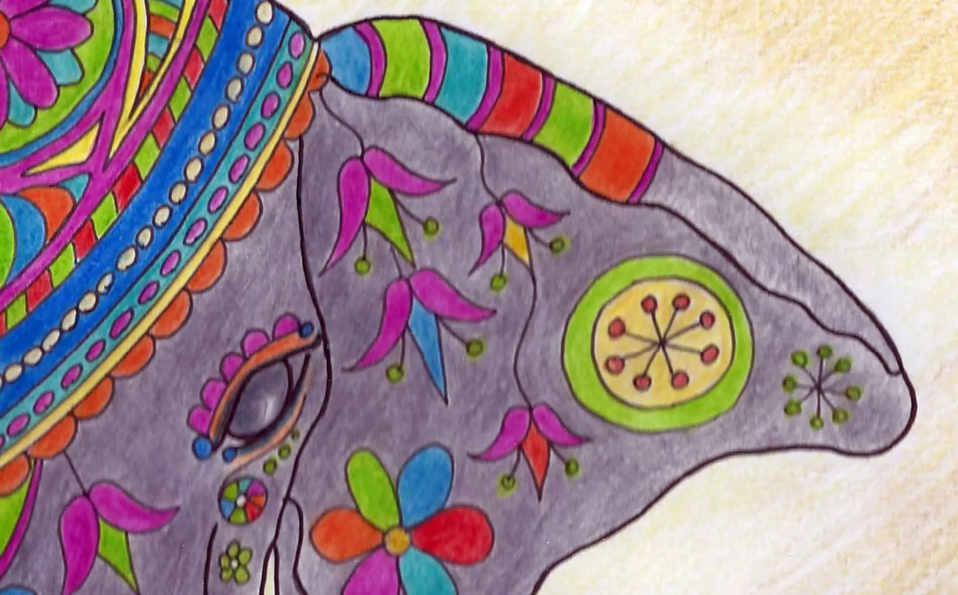 Colourful Illustration of an elephant by Sue Chand