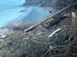 Debris on revetment from Shanklin cliff fall - 16th Feb 2023