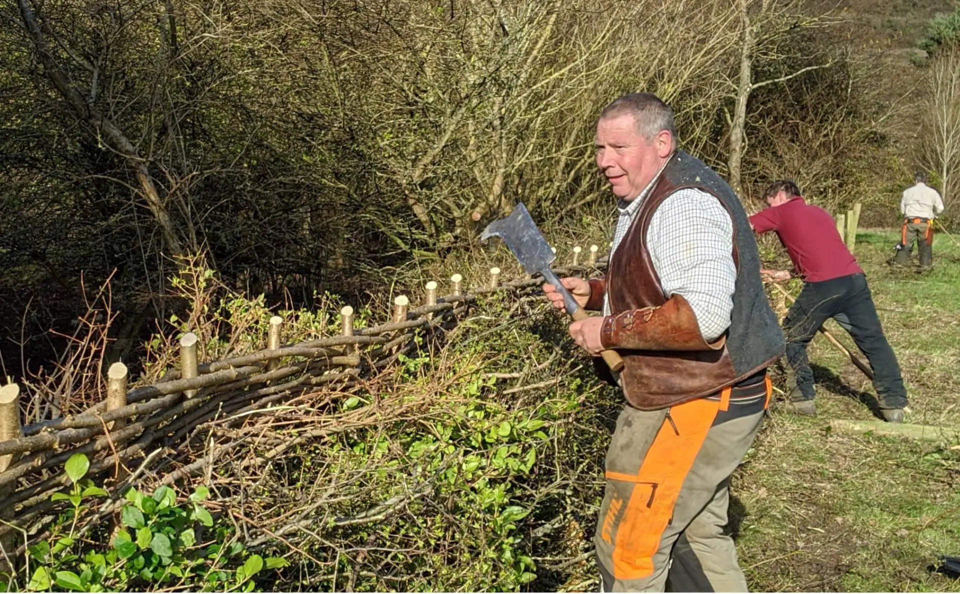 Three men taking part in Hedgelaying Competition