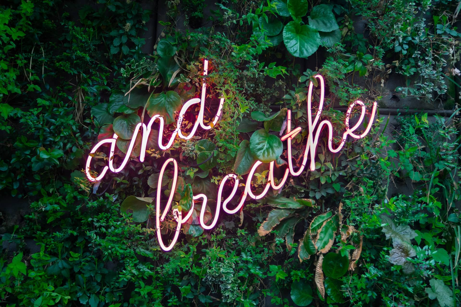 Neon sign reading and breathe on a background of green foliage by max-van-den-oetelaar with OTW flash
