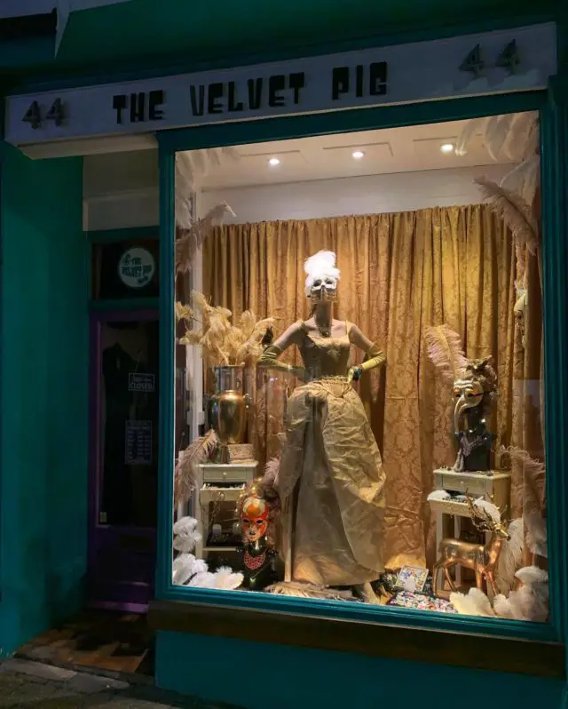 Velvet Pig Window - Glorious Gold