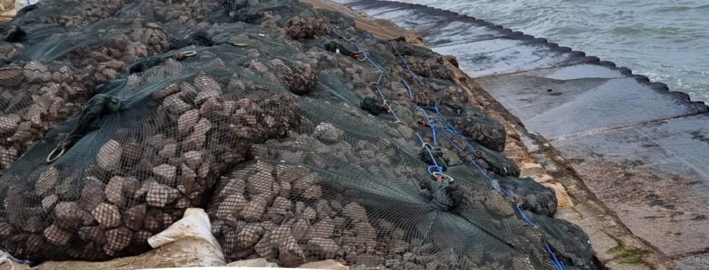 Bags of rocks on seawall