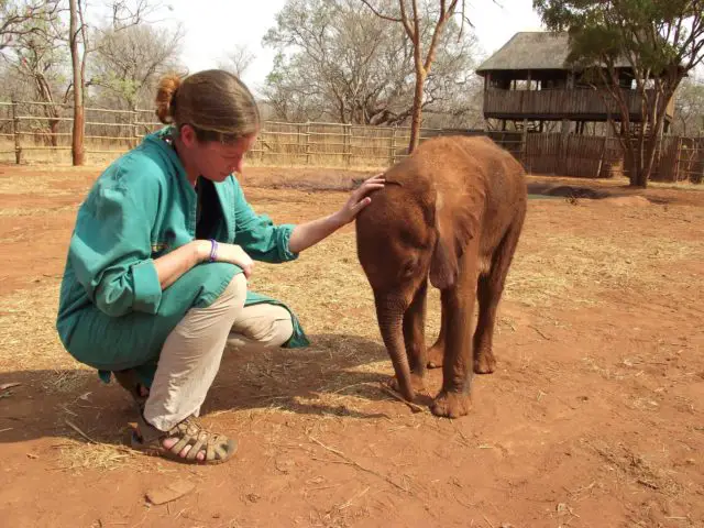 Louise with baby elephant in West Africa