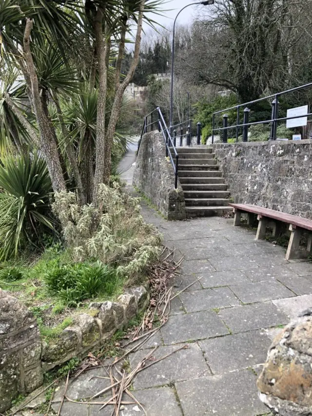 The steps and slope