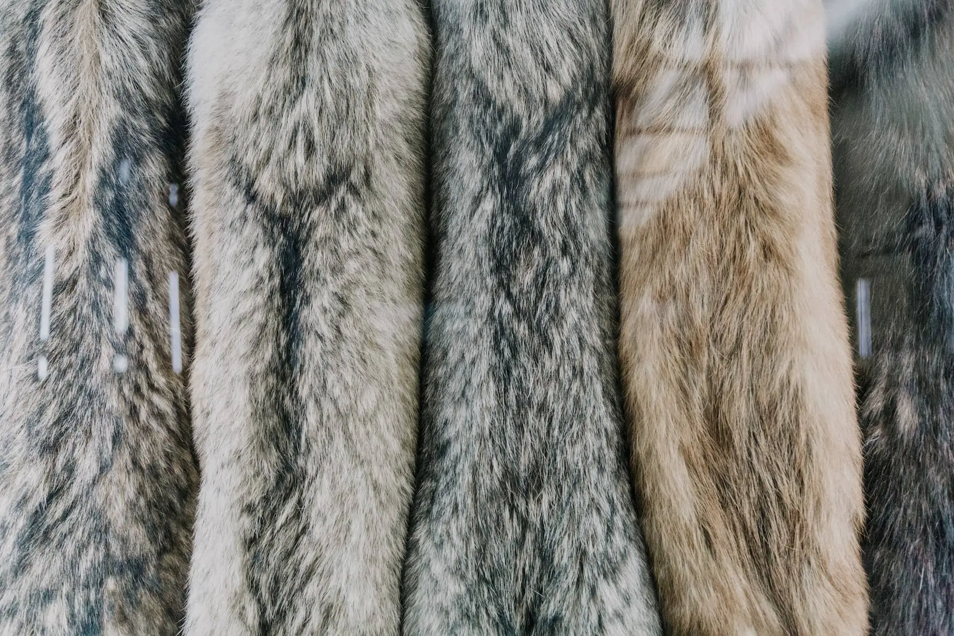 Strips of animal fur