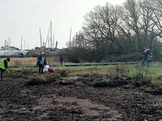 Wombles taking part in the Medina Estuary tidy up
