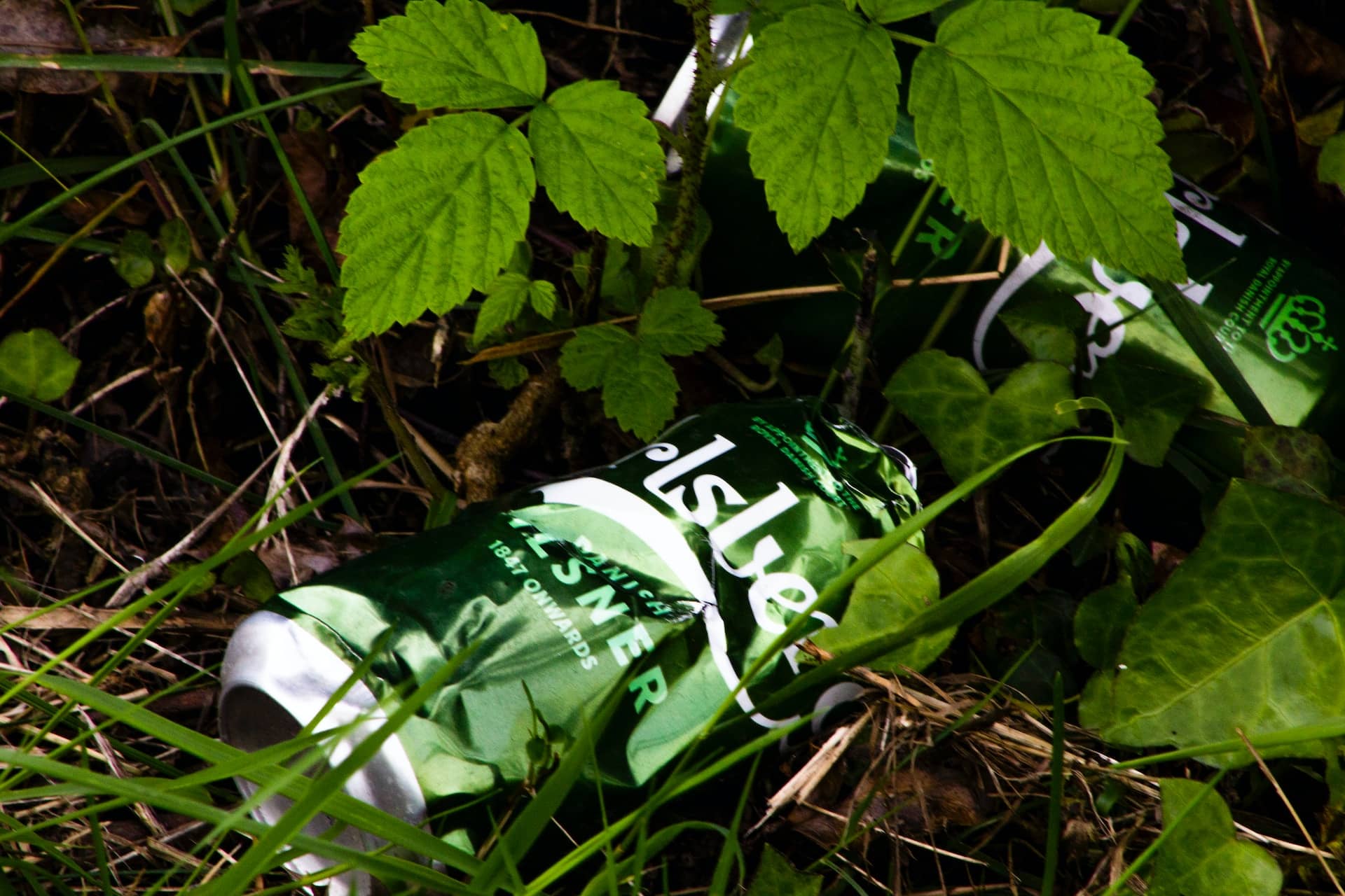 Carlsberg cans littering the countryside