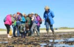 People taking part in the Intertidal survey at Lee-on-the-Solent © Caroline Meech