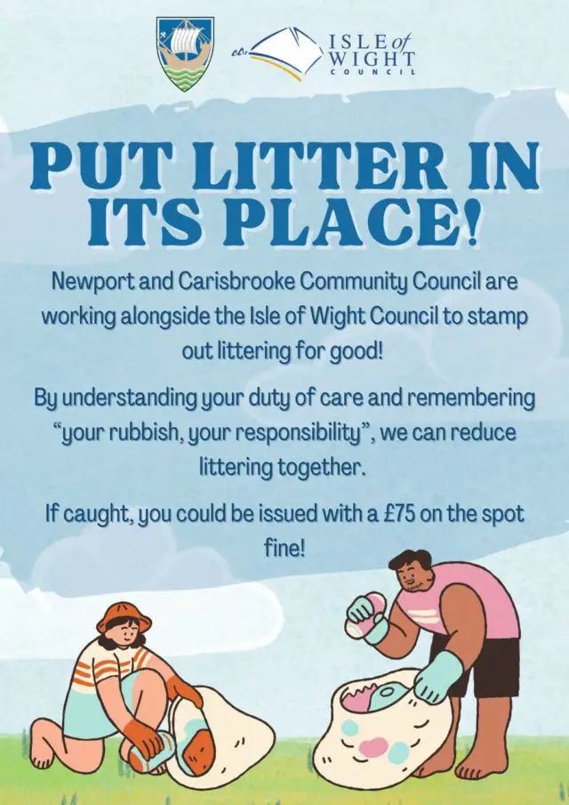 Put Litter in its Place Poster