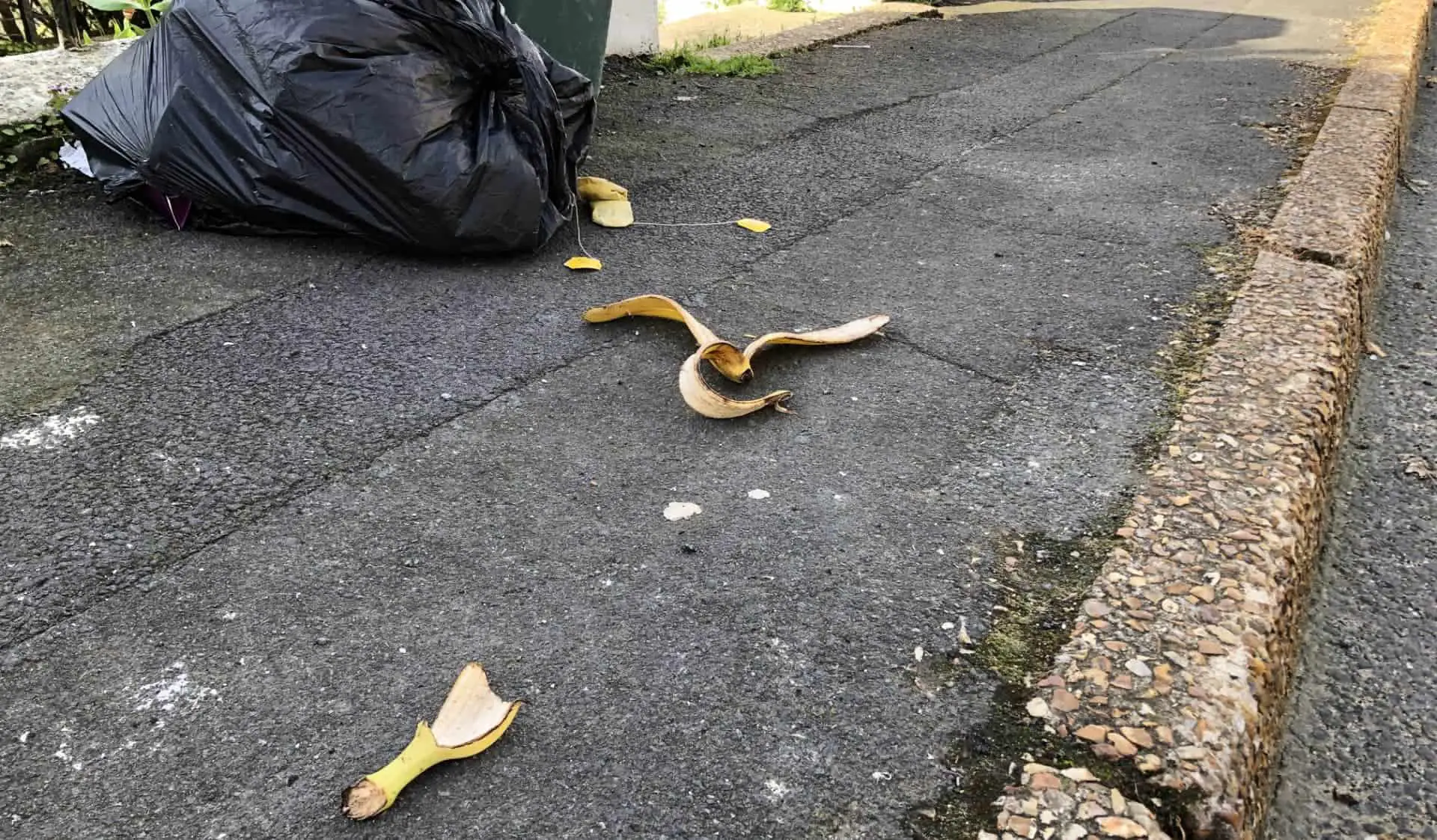 Banana skins and tea bags on road from black bin bag