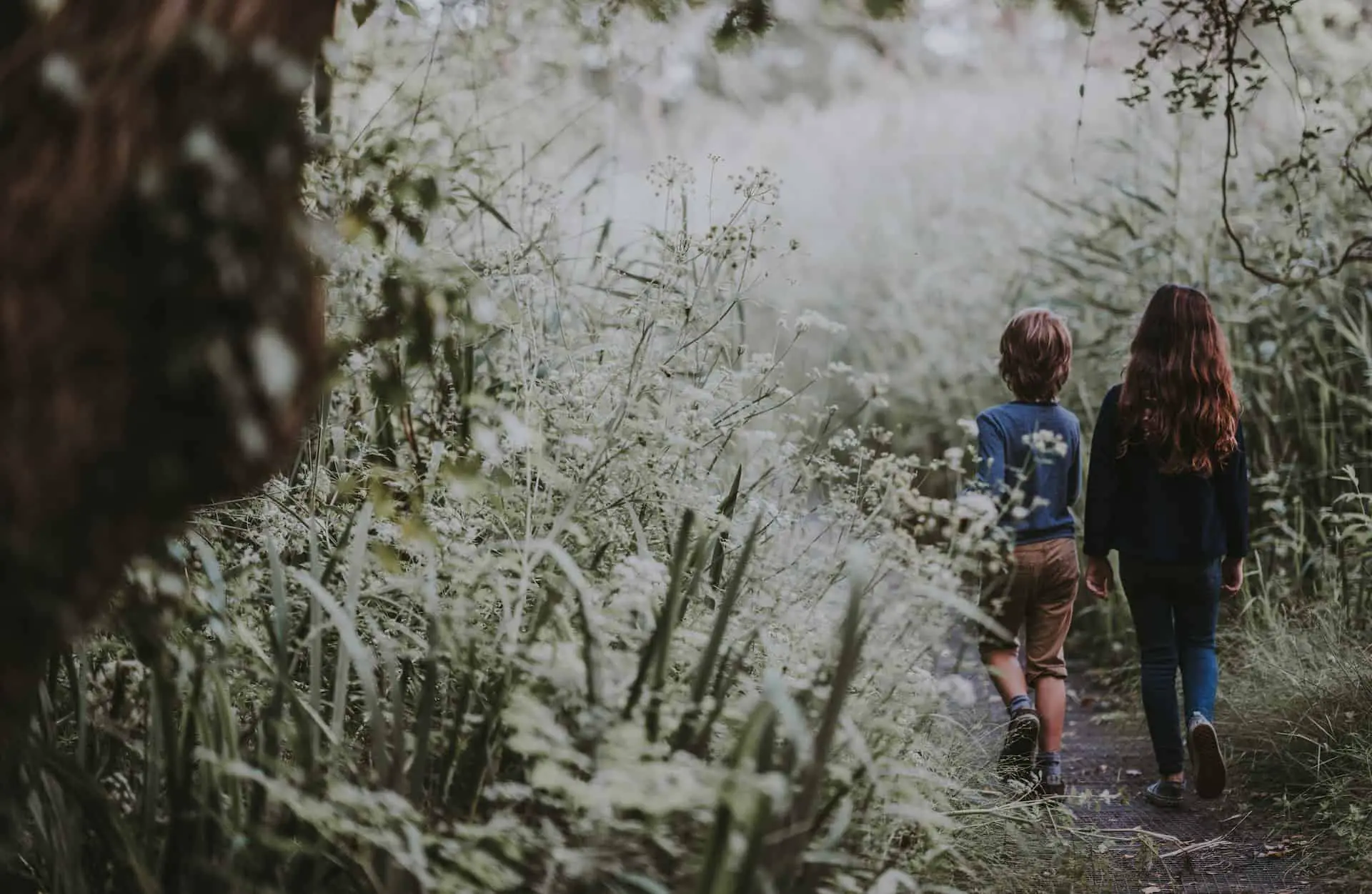 children walking through the countryside