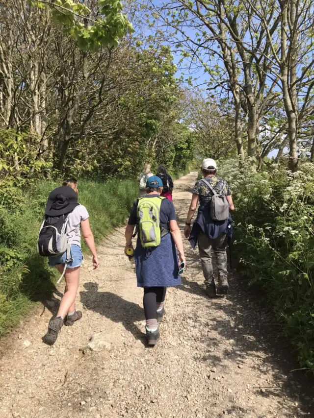 A shot from the Women Only Walk - Isle of Wight Spring Walking Festival 2023