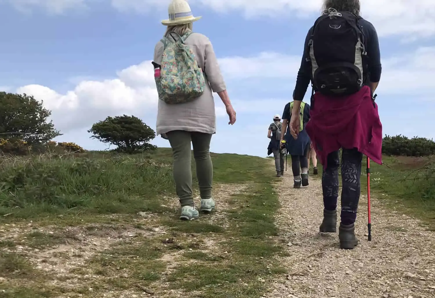 A shot from the Women Only Walk - Isle of Wight Spring Walking Festival 2023