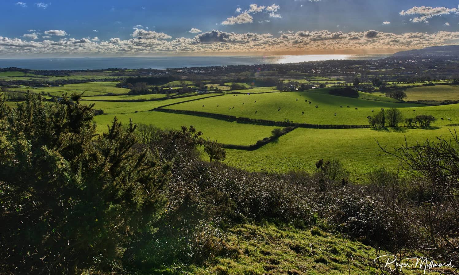 landscape view of sandown from brading downs by Roger J Millward