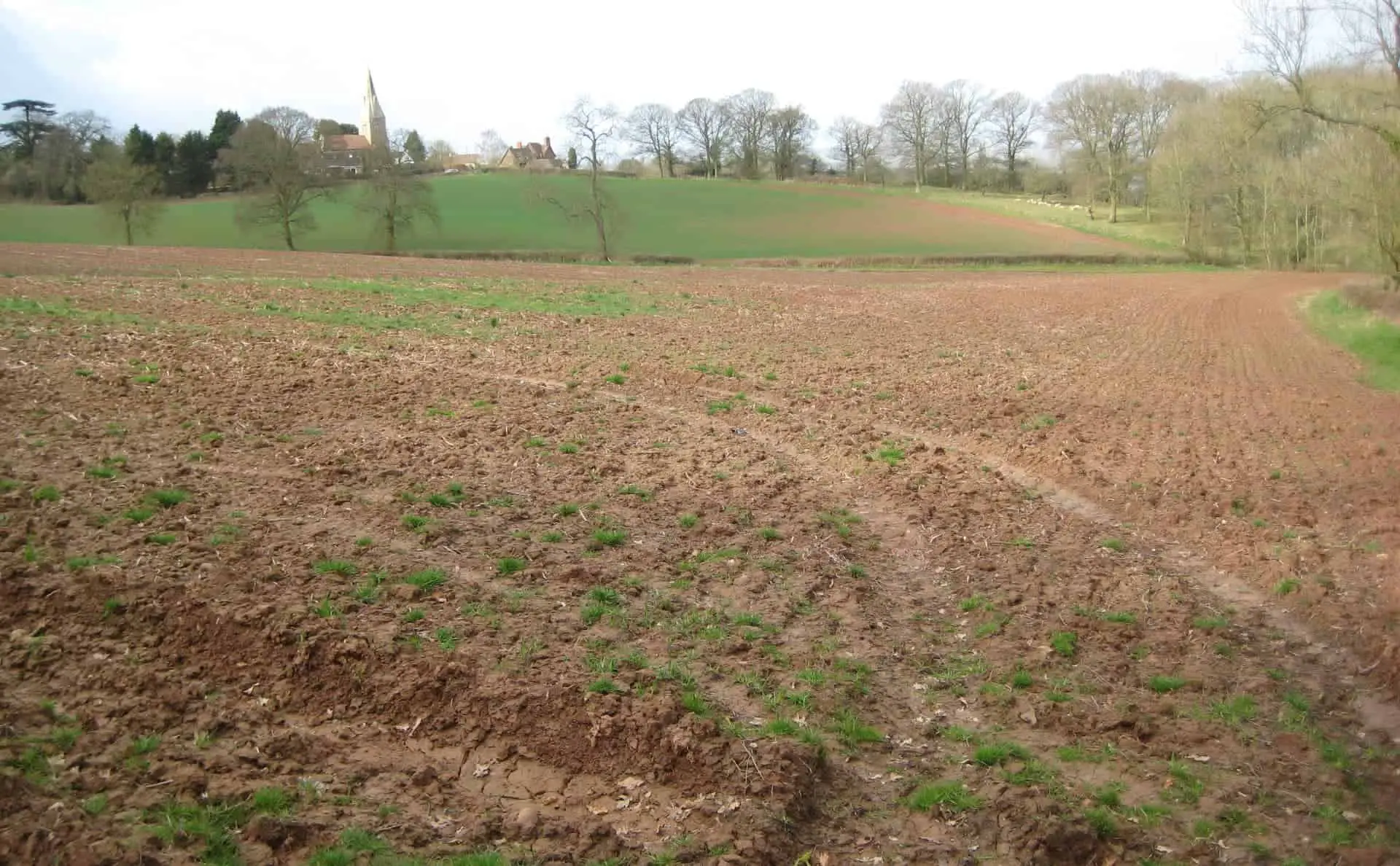 Field prior to wet system