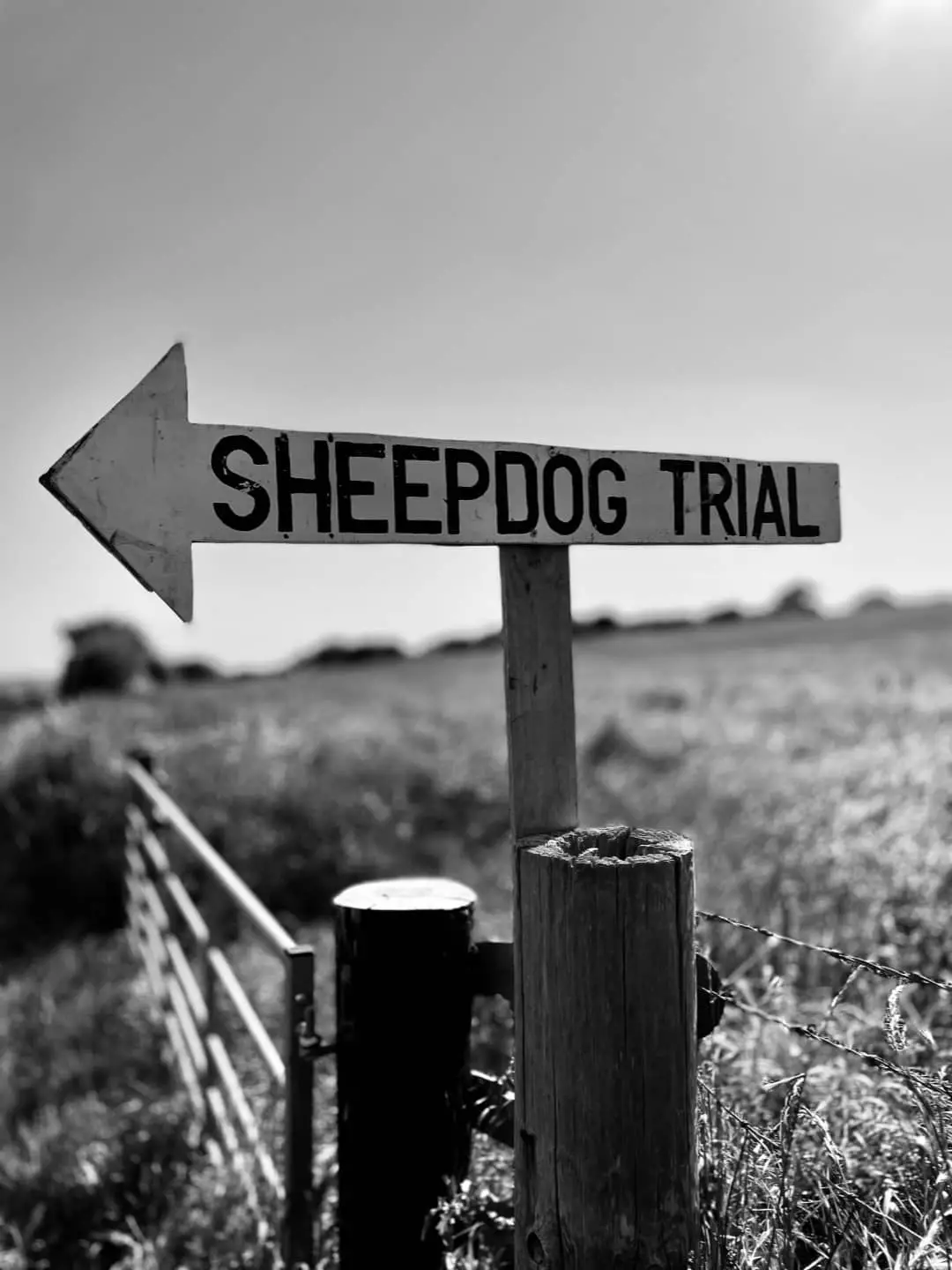 Sign to the sheepdog trials