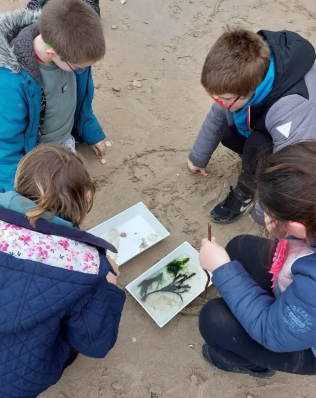 Yarmouth and Freshwater Primary School pupils exploring the Tennyson Heritage Coast