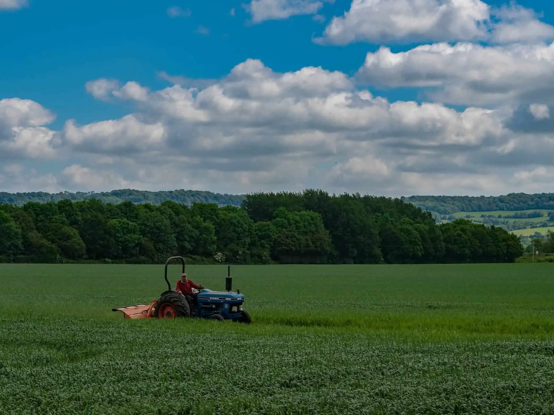 Farmer on tractor in field of produce