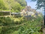 View of the house and foliage at Shanklin Chine