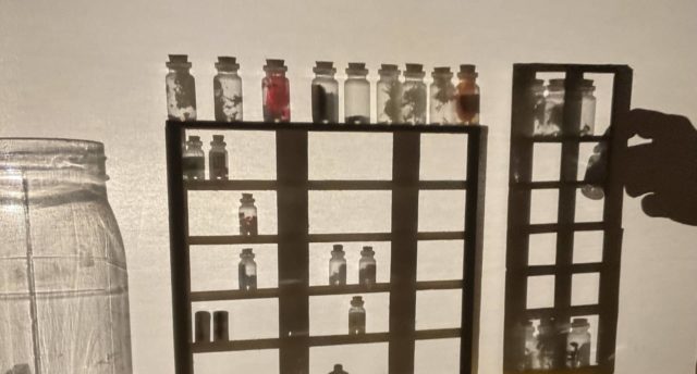 Projection of different jars