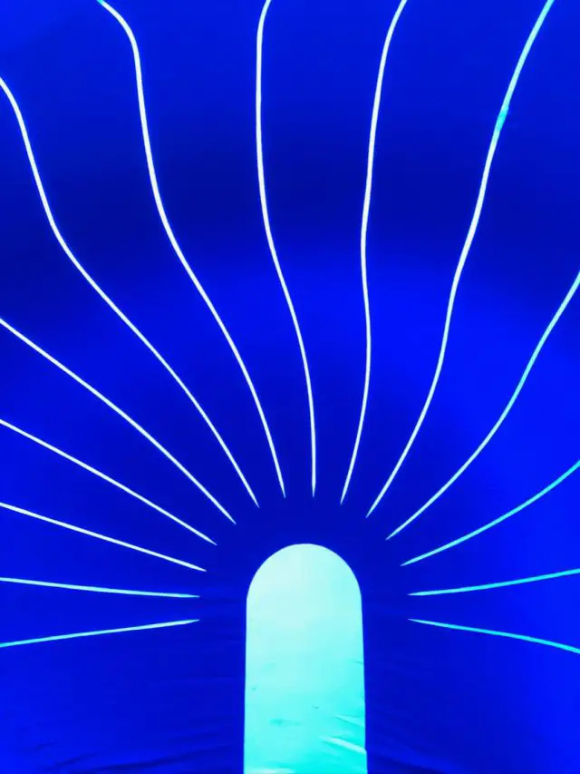 Inside the Luminarium