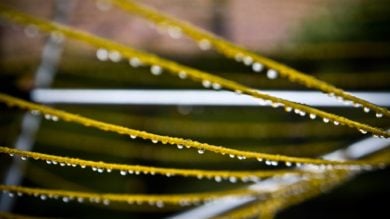 Rain on washing line