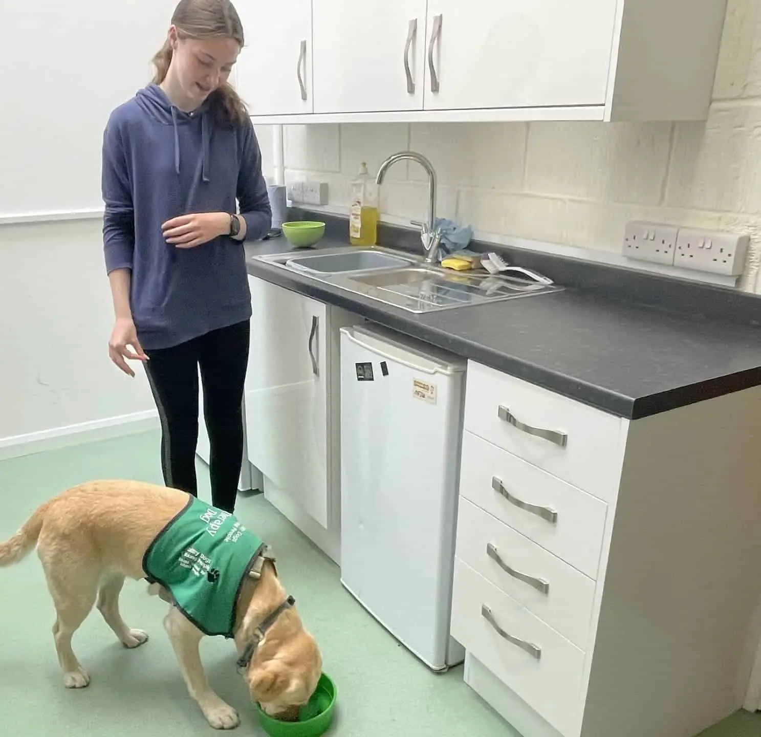Yellow Labrador called Pippa and Katie in the new kitchen area