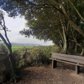 Bench and trees in Fort Victoria Country Park