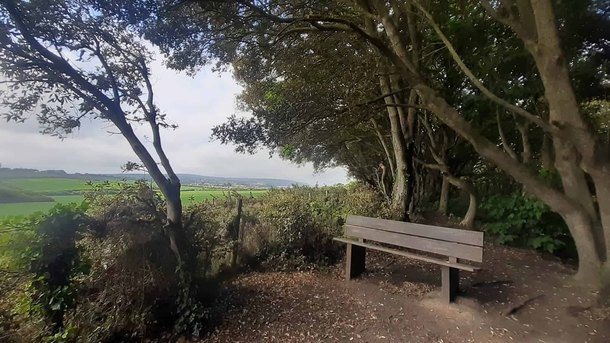 Bench and trees in Fort Victoria Country Park