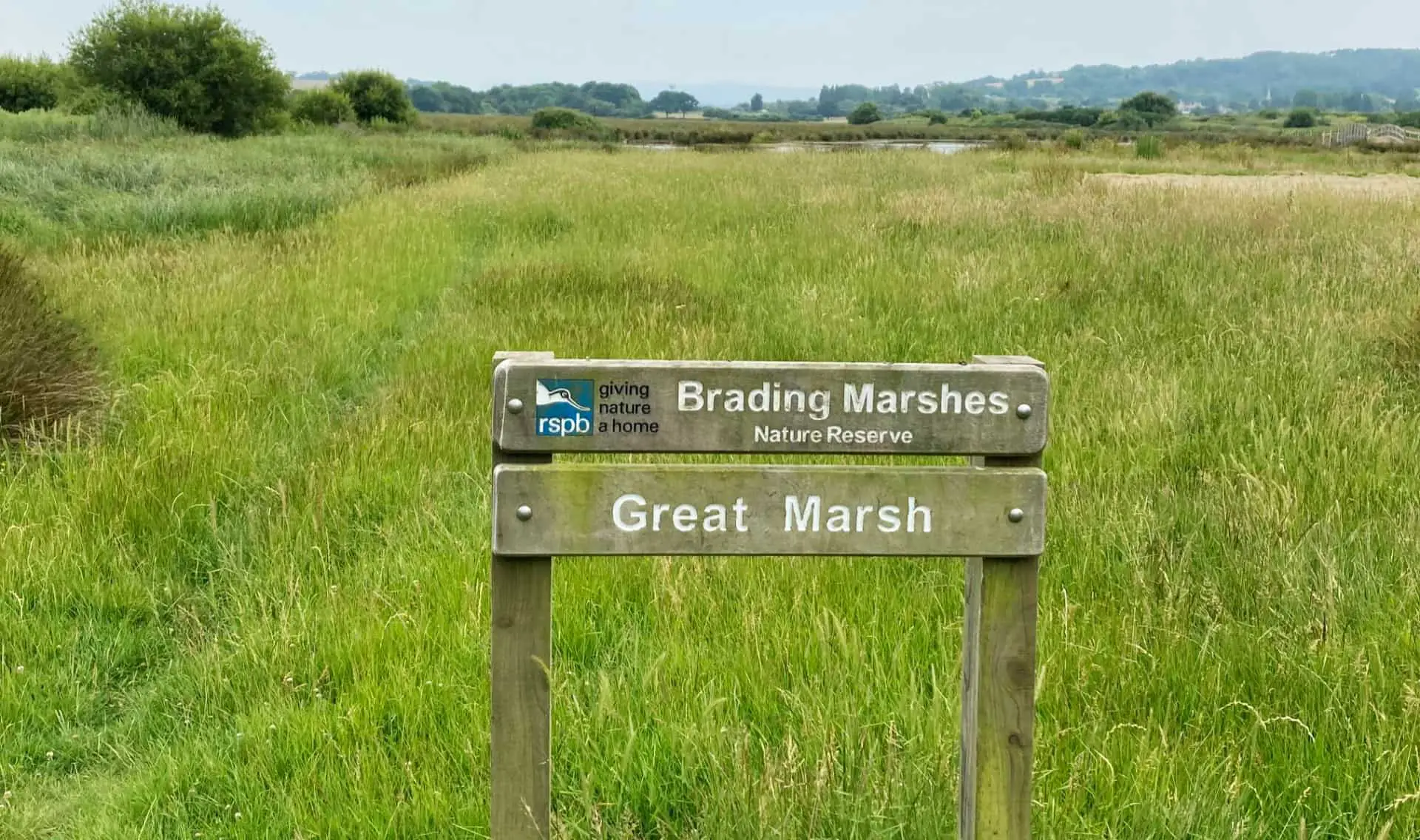 Brading Marshes Nature Reserve