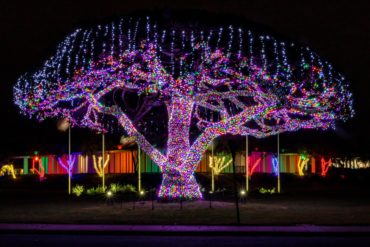 Christmas lights outside a home with trees covered in lights mick haupt