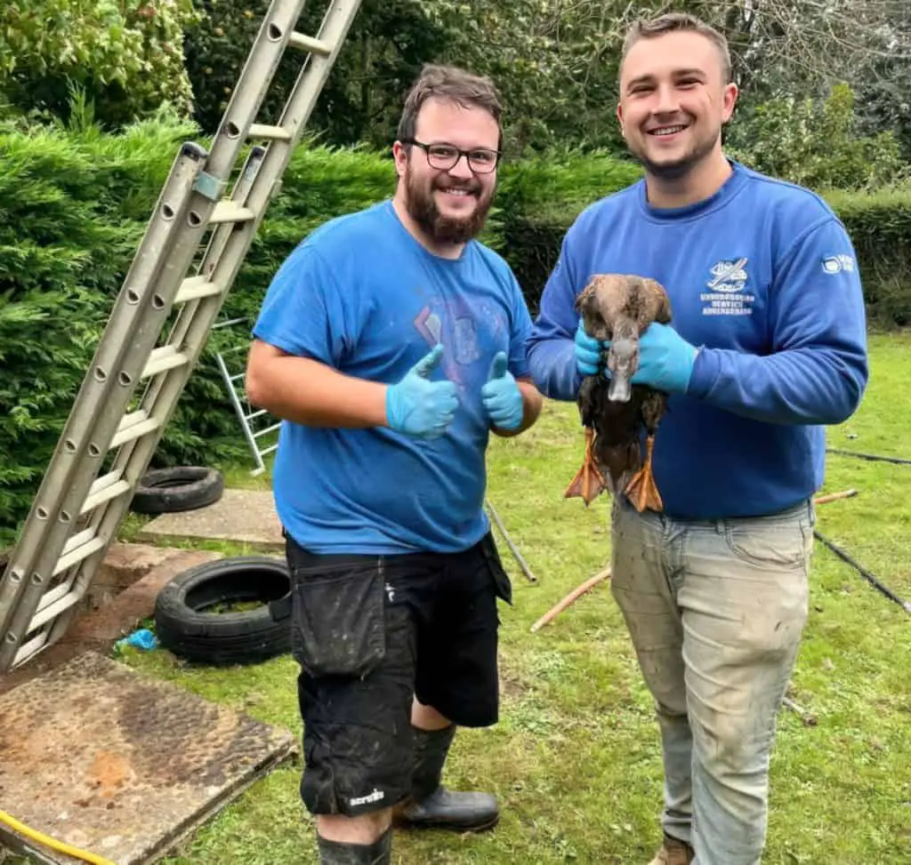 Duck rescuers from Underground Service Engineering's Drainage Team