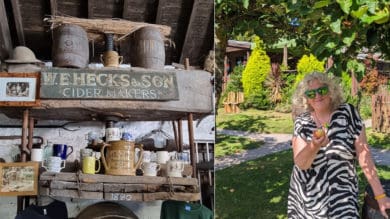 Heck Cider makers and Julie Jones Evans in an apple orchard