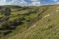 Mottistone Down © National Trust