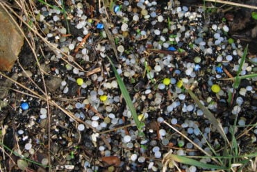 Nurdles - small plastic pellets - on the beach