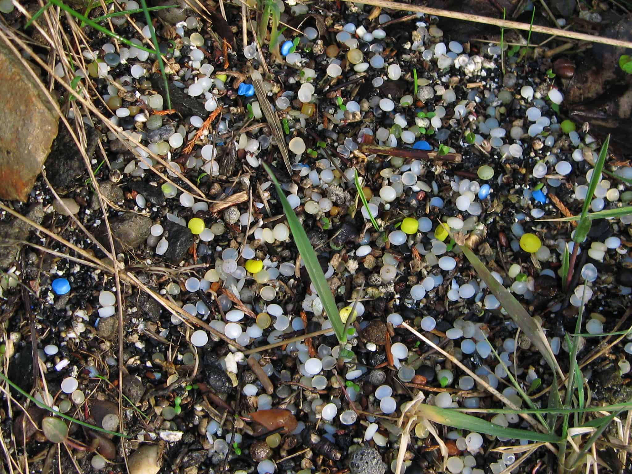 Nurdles - small plastic pellets - on the beach