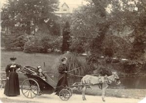 Horse and Carriage in the Undercliff